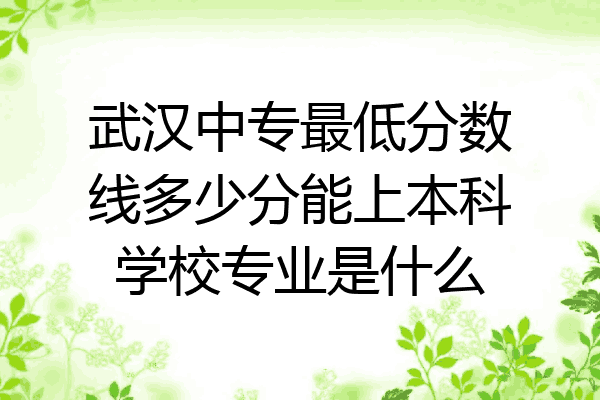武汉中专最低分数线多少分能上本科学校专业是什么