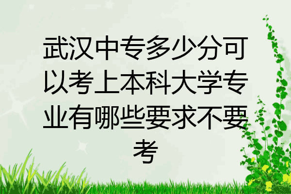 武汉中专多少分可以考上本科大学专业有哪些要求不要考