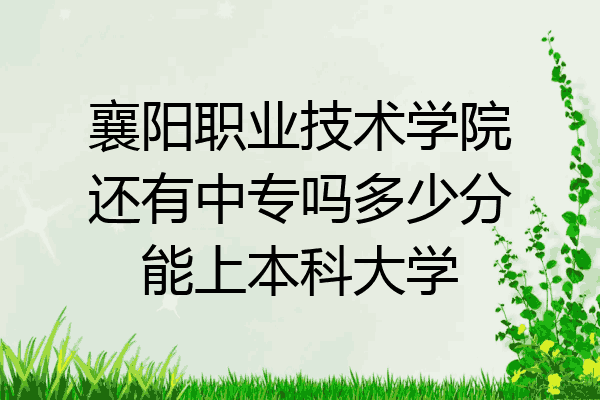 襄阳职业技术学院还有中专吗多少分能上本科大学