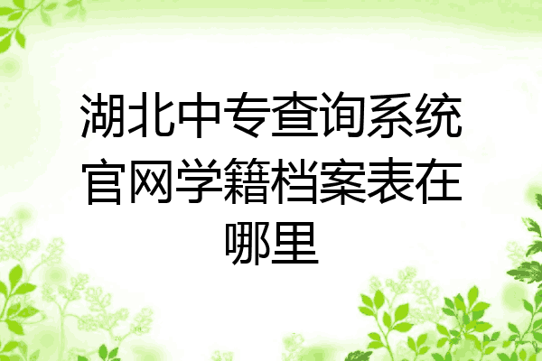 湖北中专查询系统官网学籍档案表在哪里