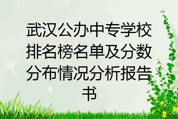 武汉公办中专学校排名榜名单及分数分布情况分析报告书