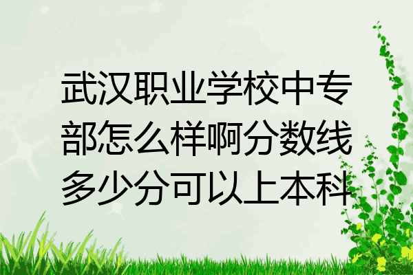 武汉职业学校中专部怎么样啊分数线多少分可以上本科