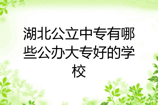 湖北公立中专有哪些公办大专好的学校