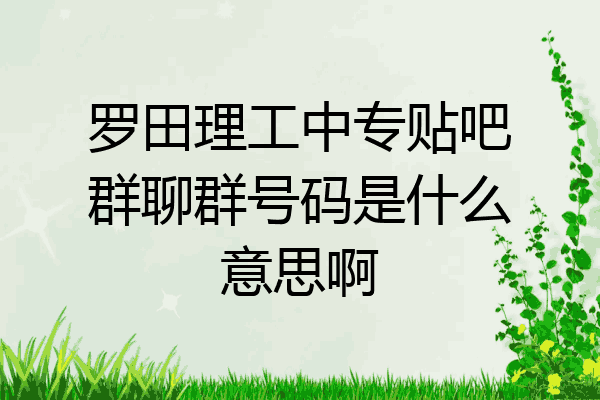 罗田理工中专贴吧群聊群号码是什么意思啊