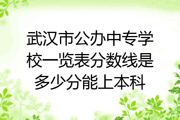武汉市公办中专学校一览表分数线是多少分能上本科