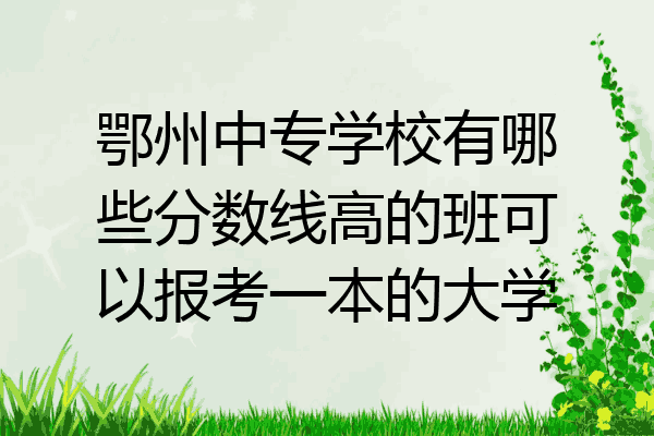 鄂州中专学校有哪些分数线高的班可以报考一本的大学