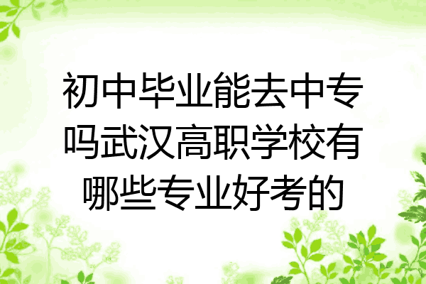 初中毕业能去中专吗武汉高职学校有哪些专业好考的