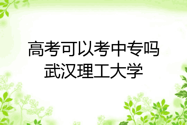 高考可以考中专吗武汉理工大学
