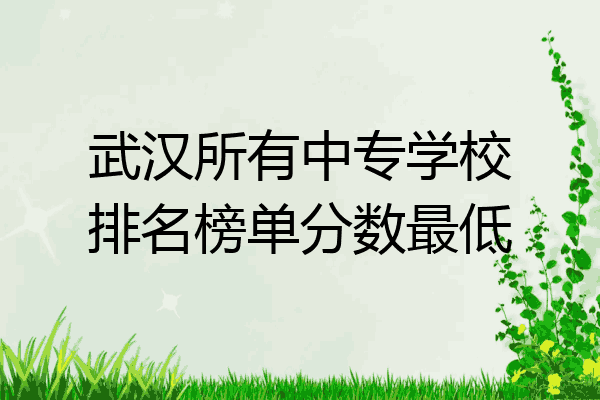 武汉所有中专学校排名榜单分数最低