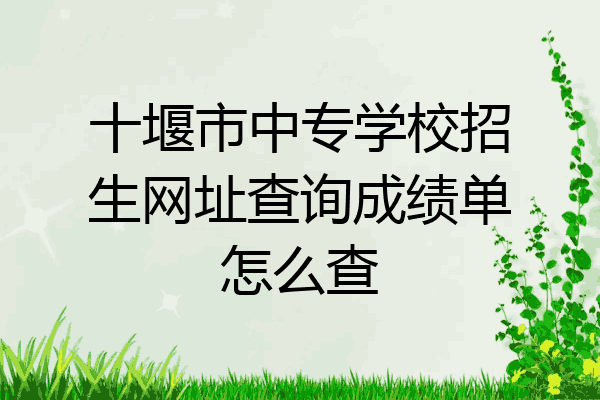 十堰市中专学校招生网址查询成绩单怎么查