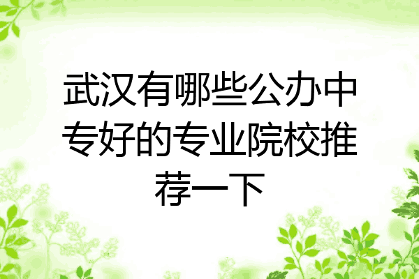 武汉有哪些公办中专好的专业院校推荐一下