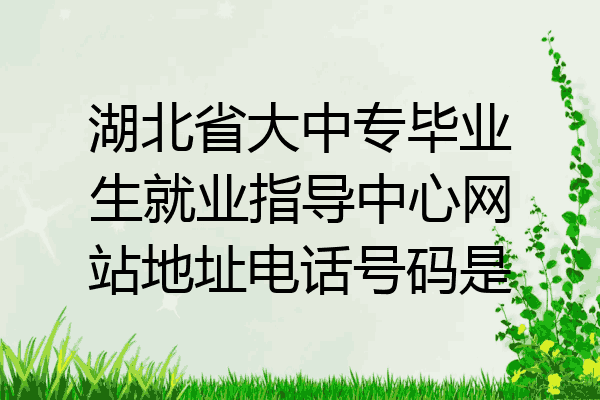 湖北省大中专毕业生就业指导中心网站地址电话号码是