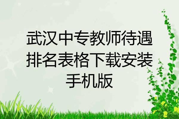武汉中专教师待遇排名表格下载安装手机版