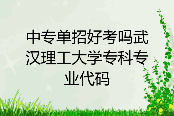 中专单招好考吗武汉理工大学专科专业代码
