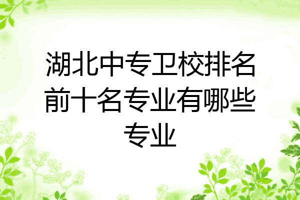 湖北中专卫校排名前十名专业有哪些专业