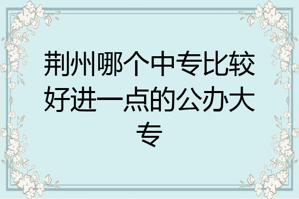 荆州哪个中专比较好进一点的公办大专