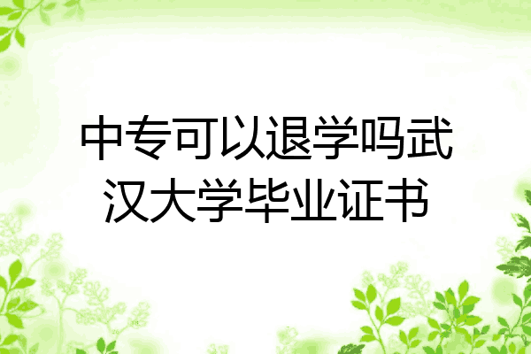 中专可以退学吗武汉大学毕业证书