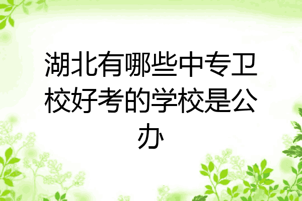 湖北有哪些中专卫校好考的学校是公办