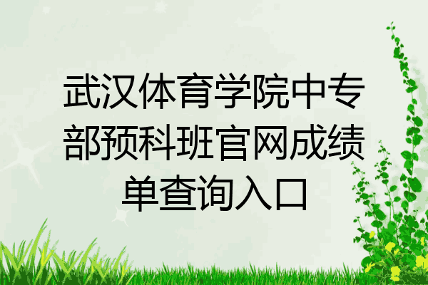 武汉体育学院中专部预科班官网成绩单查询入口
