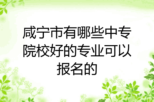 咸宁市有哪些中专院校好的专业可以报名的