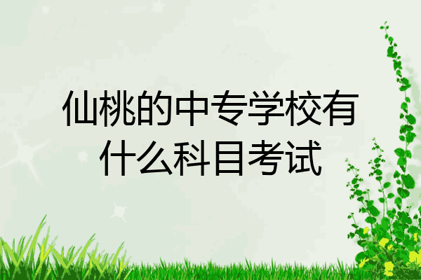 仙桃的中专学校有什么科目考试