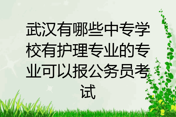 武汉有哪些中专学校有护理专业的专业可以报公务员考试