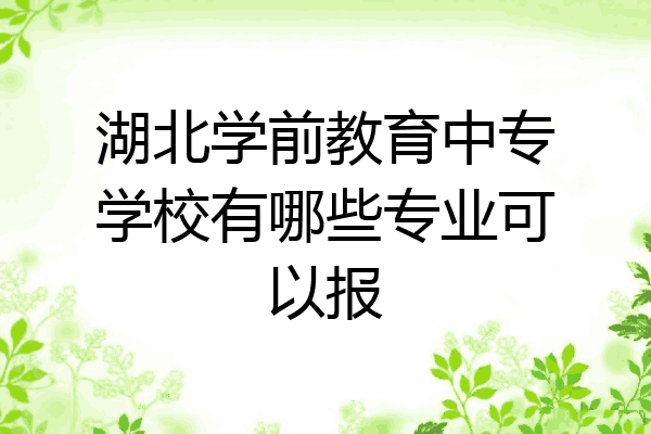 湖北学前教育中专学校有哪些专业可以报