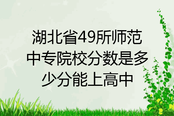 湖北省49所师范中专院校分数是多少分能上高中