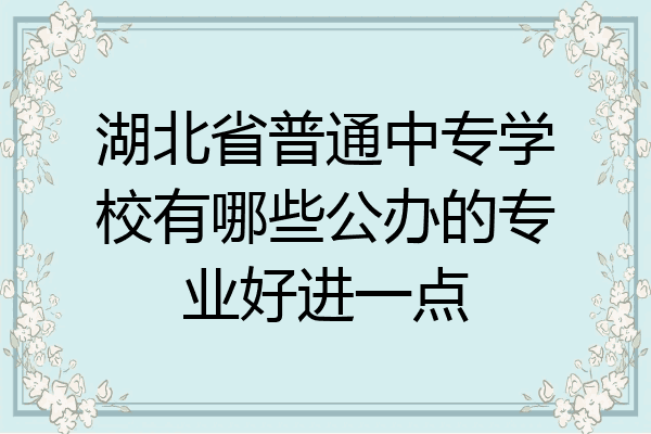 湖北省普通中专学校有哪些公办的专业好进一点