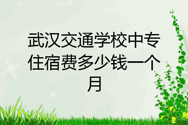武汉交通学校中专住宿费多少钱一个月