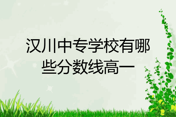 汉川中专学校有哪些分数线高一