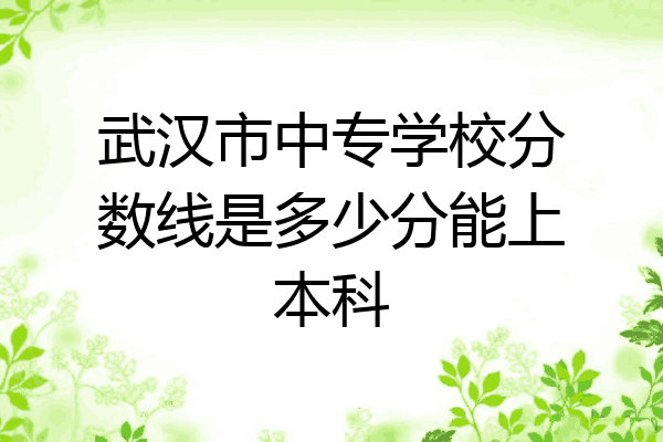 武汉市中专学校分数线是多少分能上本科