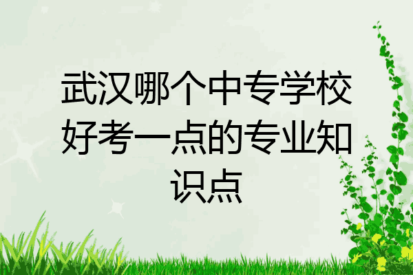 武汉哪个中专学校好考一点的专业知识点