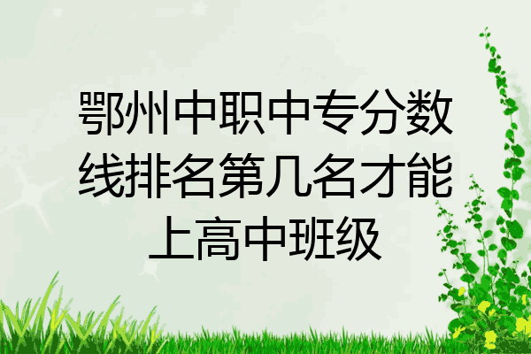 鄂州中职中专分数线排名第几名才能上高中班级