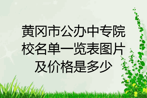 黄冈市公办中专院校名单一览表图片及价格是多少