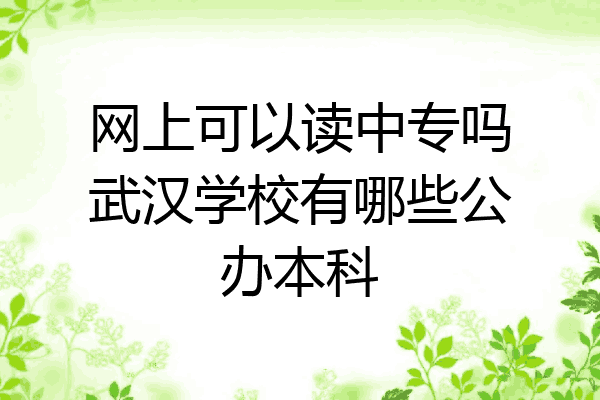 网上可以读中专吗武汉学校有哪些公办本科
