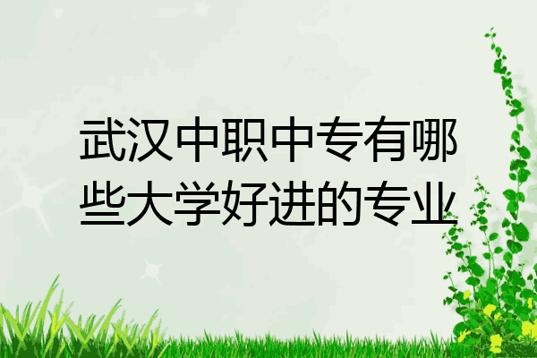 武汉中职中专有哪些大学好进的专业