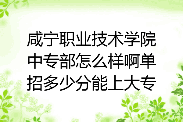 咸宁职业技术学院中专部怎么样啊单招多少分能上大专