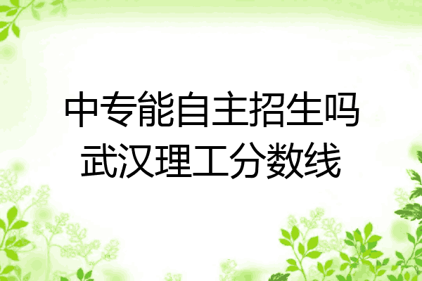 中专能自主招生吗武汉理工分数线