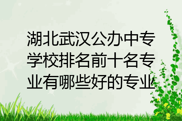 湖北武汉公办中专学校排名前十名专业有哪些好的专业
