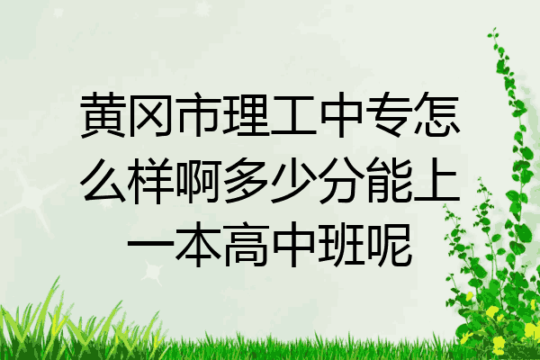 黄冈市理工中专怎么样啊多少分能上一本高中班呢