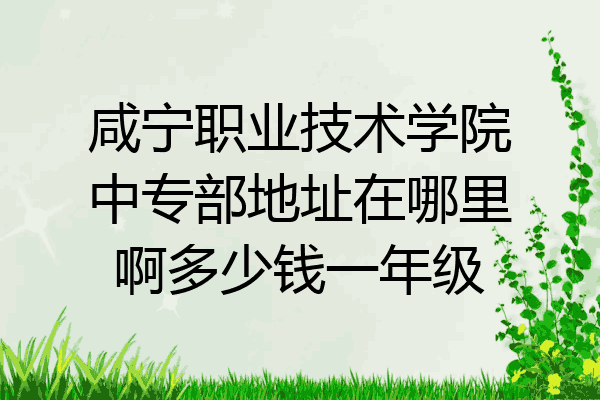 咸宁职业技术学院中专部地址在哪里啊多少钱一年级