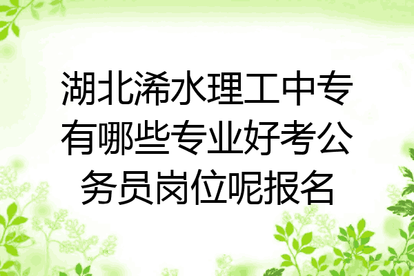 湖北浠水理工中专有哪些专业好考公务员岗位呢报名