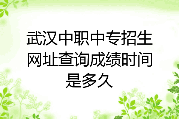武汉中职中专招生网址查询成绩时间是多久