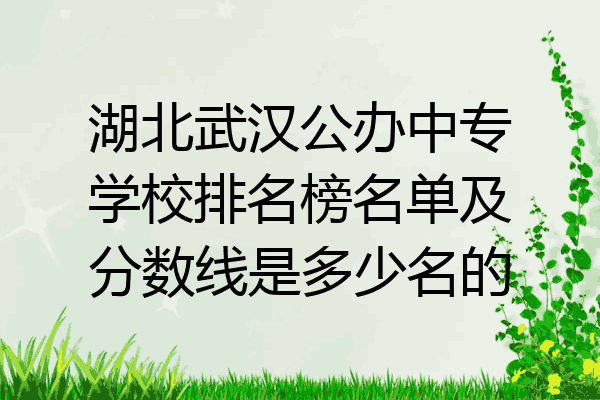 湖北武汉公办中专学校排名榜名单及分数线是多少名的