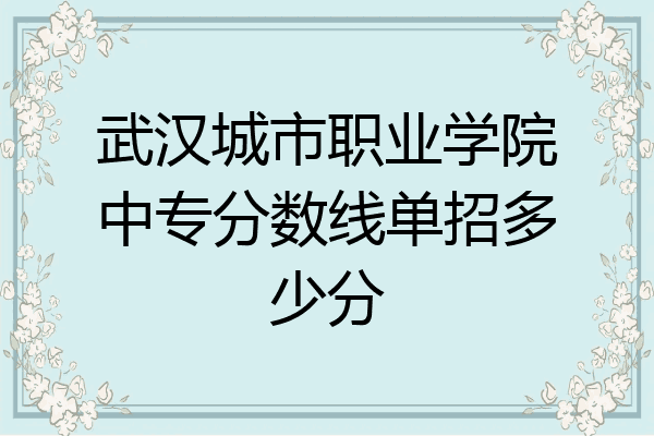 武汉城市职业学院中专分数线单招多少分