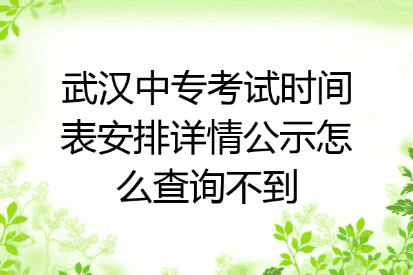 武汉中专考试时间表安排详情公示怎么查询不到