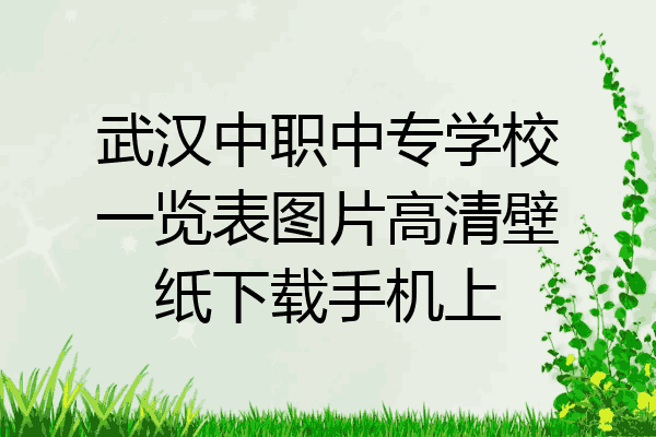 武汉中职中专学校一览表图片高清壁纸下载手机上