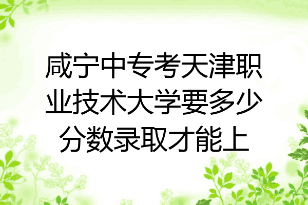 咸宁中专考天津职业技术大学要多少分数录取才能上