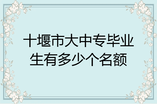 十堰市大中专毕业生有多少个名额